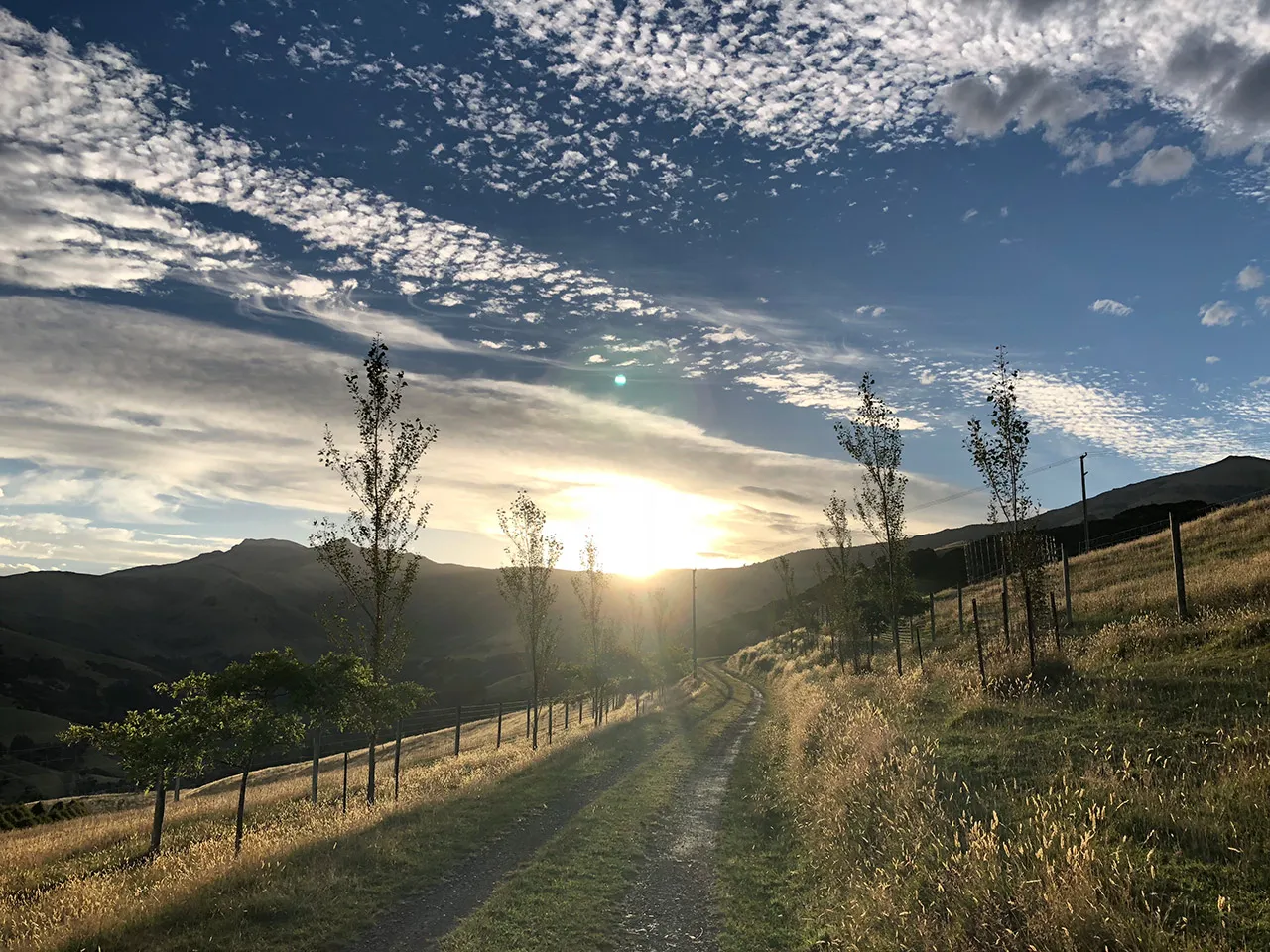 Rural & lifestyle
